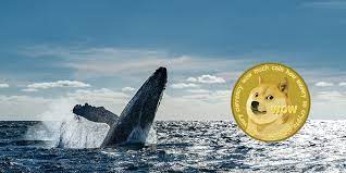 Activité des baleines Dogecoin